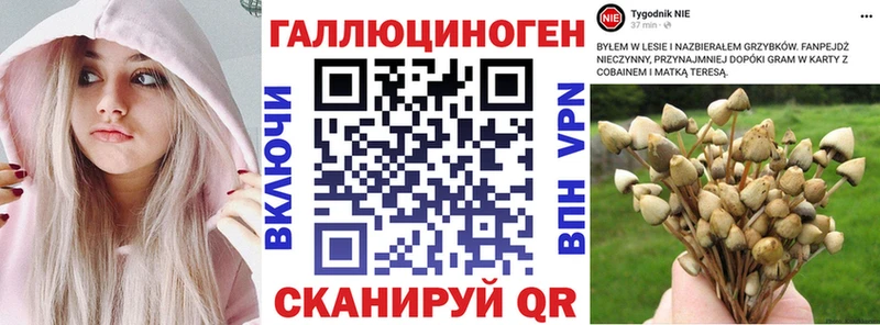 Псилоцибиновые грибы мухоморы  hydra маркетплейс  Нариманов  купить наркоту 